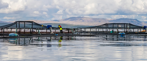 Transformando la acuicultura desde las buenas prácticas