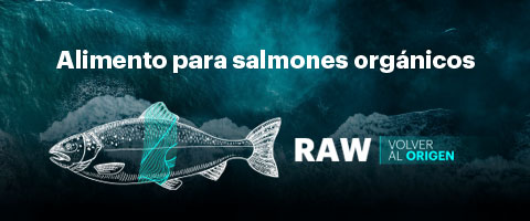 Salmofood