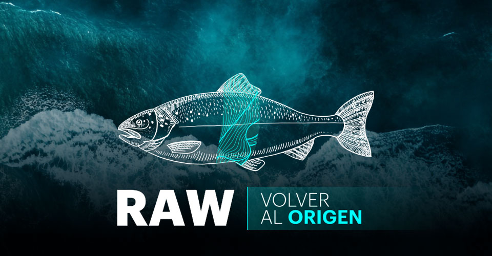 Alimento para Salmones orgánicos – RAW